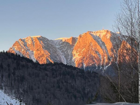 Andu's Chalet